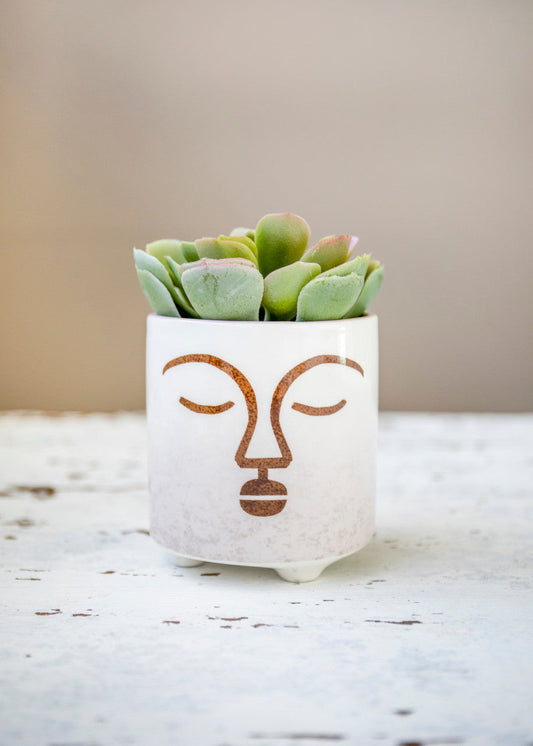 KitchenCraft Mini Planter with Terracotta Face Design