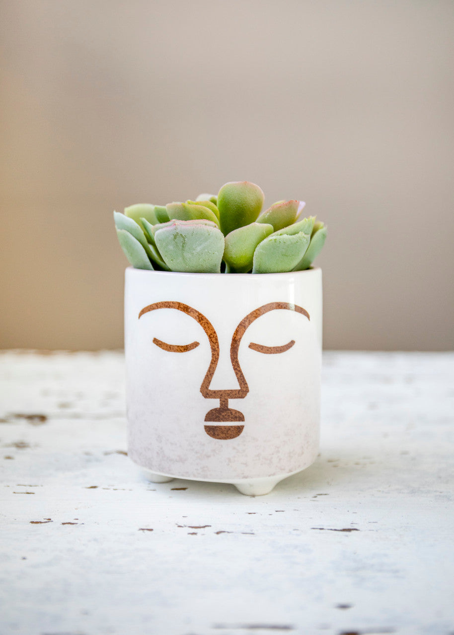 KitchenCraft Mini Planter with Terracotta Face Design